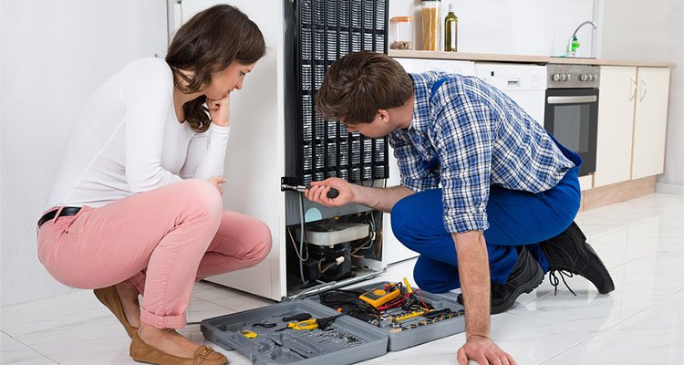 Professional Fridge Repair Dubai